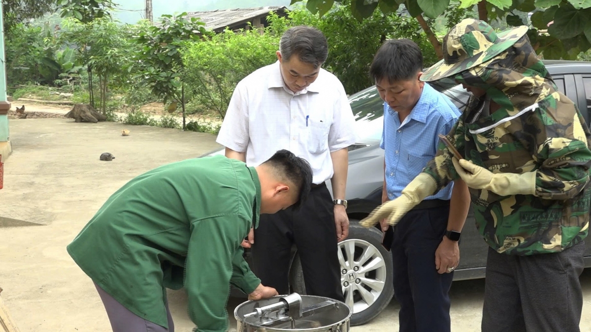 Ông Hoàng Văn Dụng ở thôn Tát Dài, xã Địa Linh, huyện Ba Bể, Bắc Kạn
livestream sản phẩm mật ong trên mạng xã hội