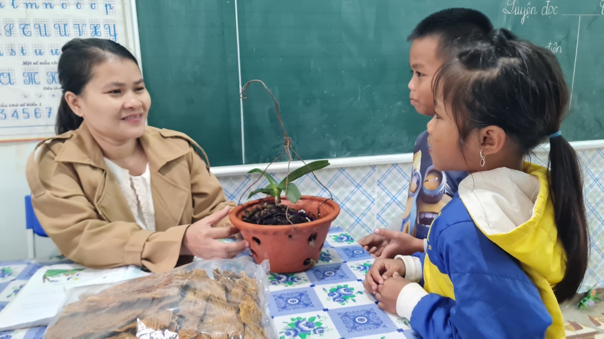 Học sinh mang chậu hoa lan tặng cô giáo nhân ngày Nhà giáo Việt Nam.
Ảnh: CTV Biên Cương/VOV miền Trung