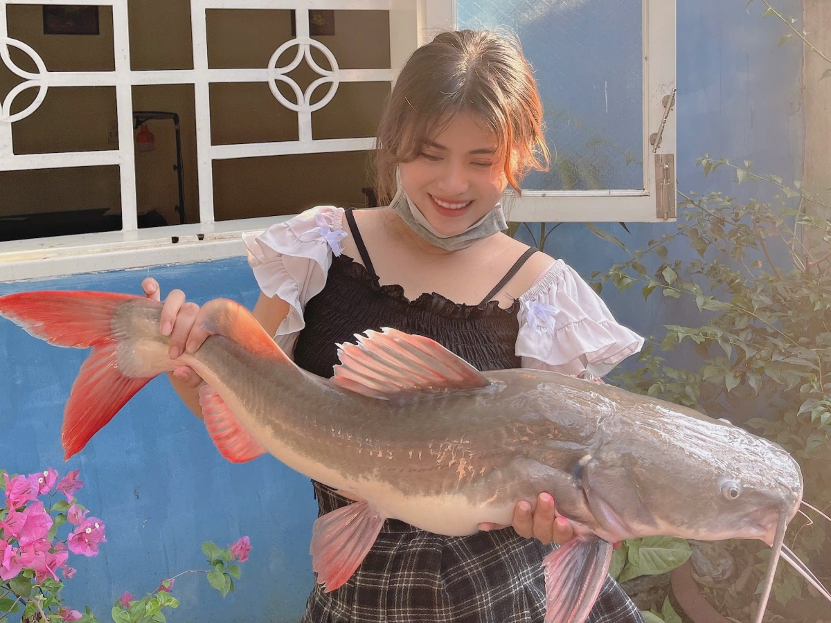 Một con cá lăng nặng hơn 10 kg được cần thủ câu trên sông Srêpốk về bán cho nhà hàng.