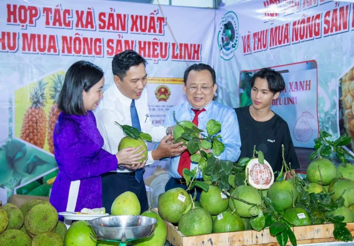 Tại miền núi tỉnh Khánh Hòa đã có nhiều nông sản liên kết giữa các hộ dân.
Ảnh: Thái Bình/VOV Miền Trung