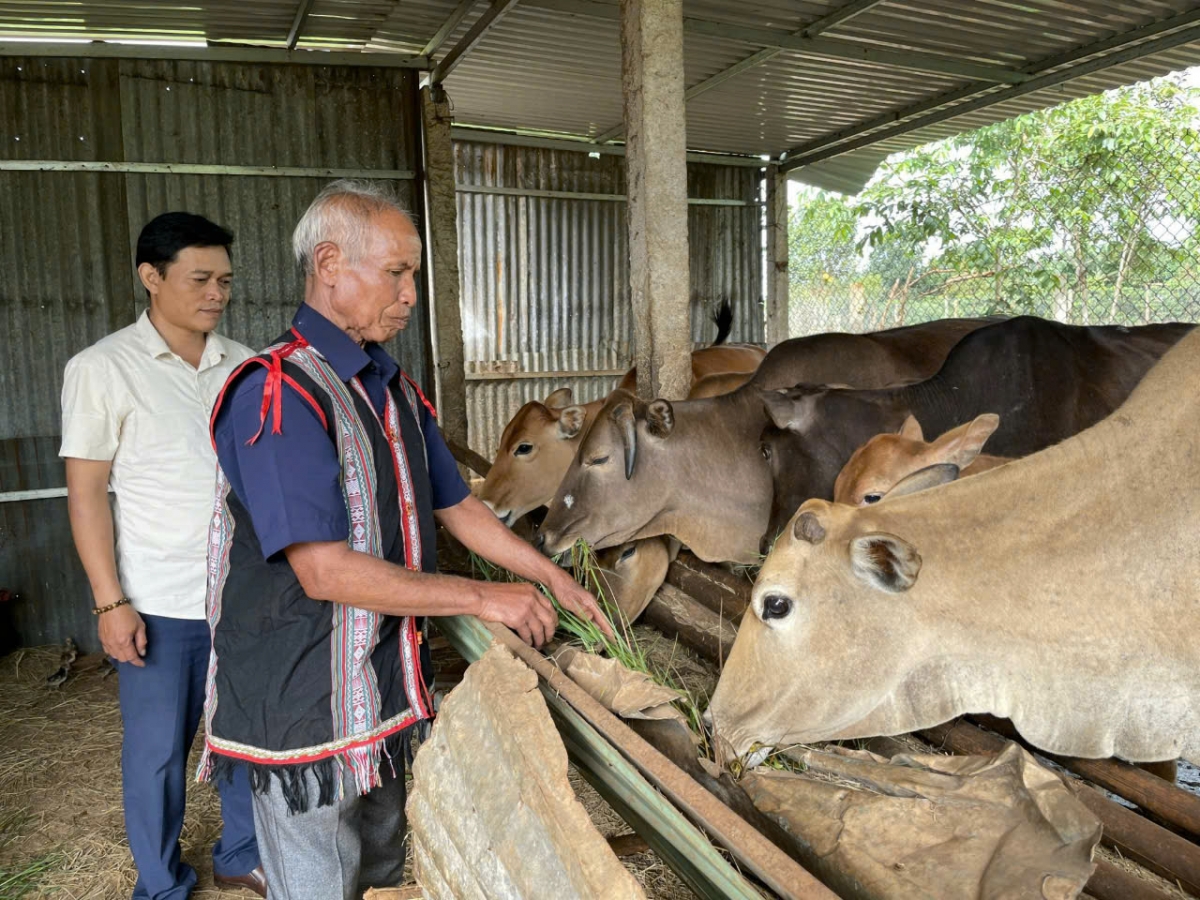Những chính sách thiết thực của Đảng và Nhà nước luôn chăm lo đời sống vật chất
và tinh thần đối với bà con các dân tộc thiểu số.
Ảnh: Hoàng Qui/VOV Tây Nguyên