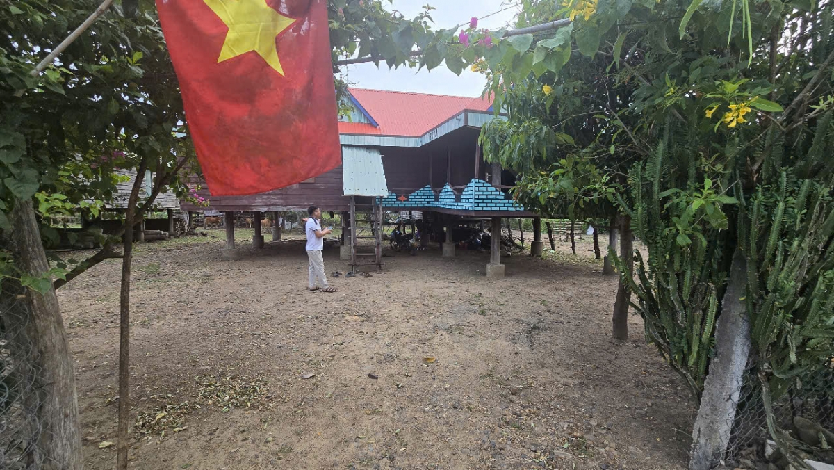 Sắc xuân về trên từng thôn làng tại Gia Lai.
Ảnh: Hoàng Qui/VOV Tây Nguyên