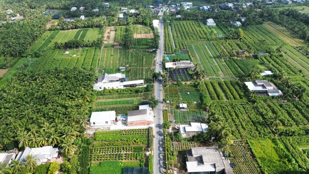 Sản xuất nông nghiệp là vấn đề cần được quan tâm trước tiên khi nước mặn xâm nhập