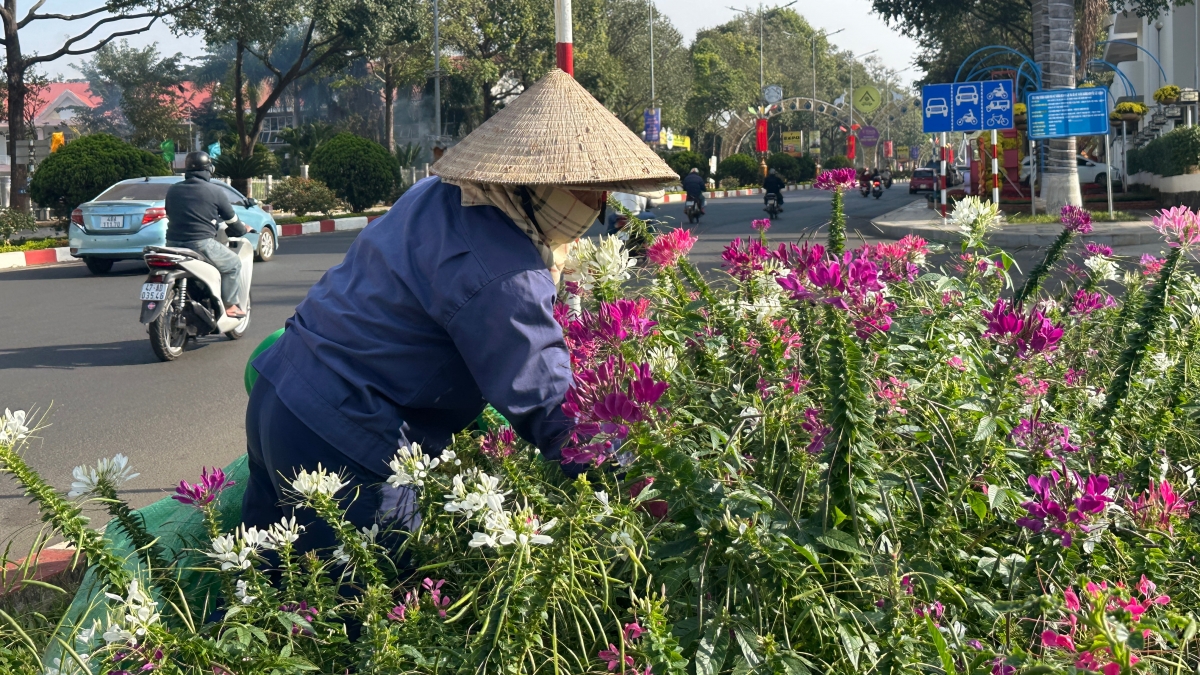 Tết này, thành phố Buôn Ma Thuột, bổ sung hơn 10.000 chậu cây cảnh, hoa tươi trang trí các nơi công cộng.
Ảnh: Hương Lý/VOV Tây Nguyên