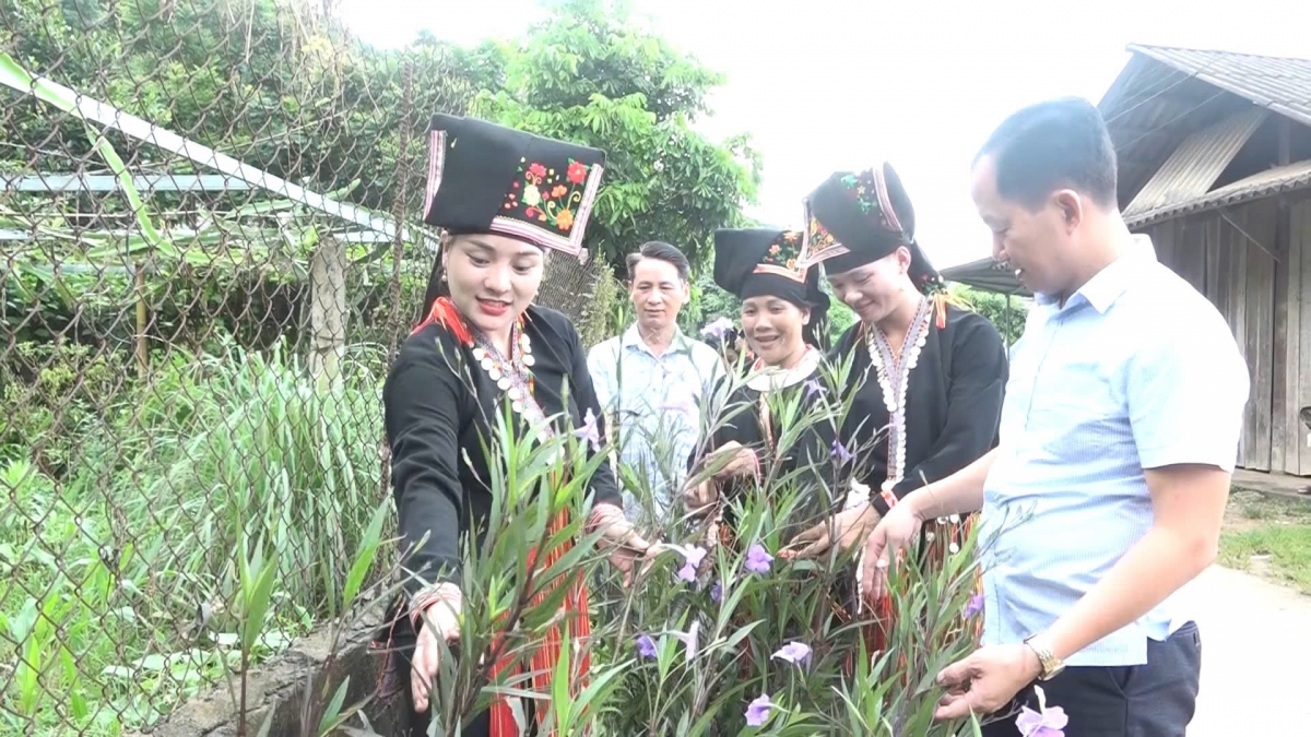 Trồng hoa, giữ quanh cảnh đường làng xanh sạch đẹp.
Ảnh: Thiều Nghiệp/VOV Tây Bắc