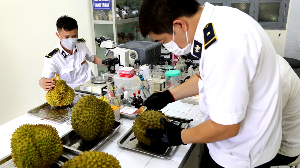 Tỉnh Lạng Sơn cam kết luôn tạo điều kiện tốt nhất cho các doanh nghiệp, thương nhân đủ điều kiện về thủ tục, tiêu chuẩn nhưng phải đảm bảo quy định, tiêu chuẩn khi xuất khẩu hàng hóa, đặc biệt là hàng nông sản