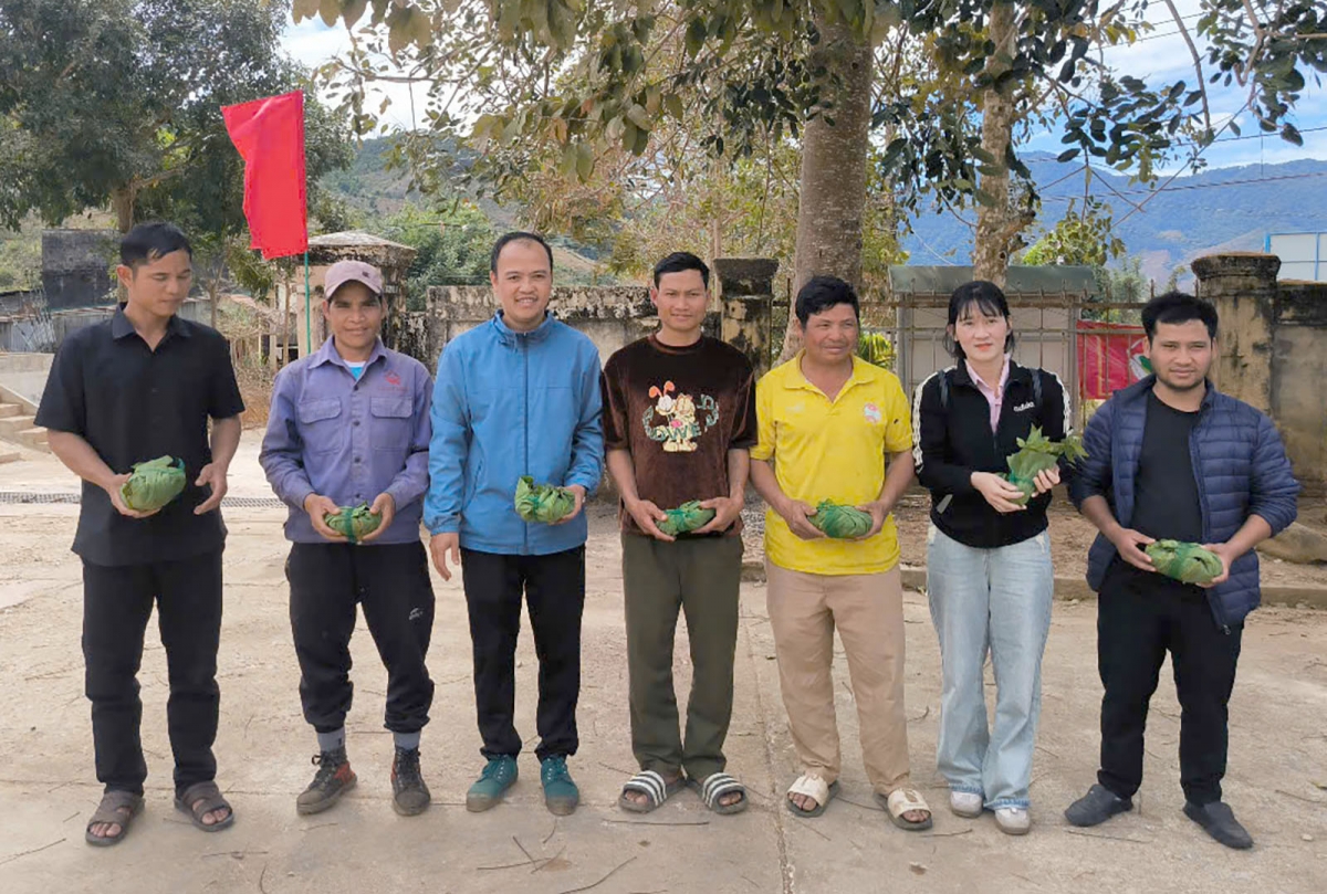Hộ nghèo và cận nghèo xã Văn Xuôi, huyện Tu Mơ Rông nhận cây giống sâm Ngọc Linh.
Ảnh: Nguyễn Khoa Điềm/VOV Tây Nguyên