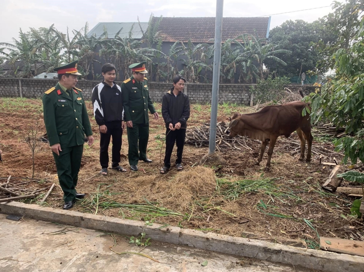 Từ nguồn xã hội hóa, Ban Chỉ huy Quân sự huyện Bố Trạch tặng bò sinh kế,
hỗ trợ gia đình khó khăn có thanh niên nhập ngũ.
Ảnh: Thanh Hiếu/VOV Miền Trung