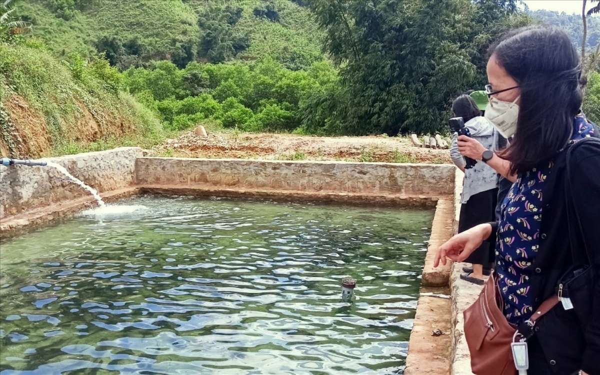 Mô hình nuôi cá tầm của gia đình anh Hồ Thanh Phương ở xã Hồng Kim