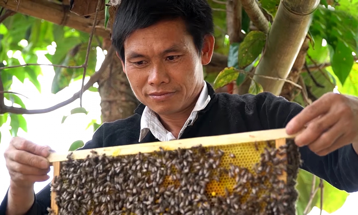 Có thu nhập khá từ nuôi ong lấy mật và trồng chanh leo, gia đình anh Phàn Diếu Hồ đã viết đơn xin ra khỏi danh sách hộ nghèo
