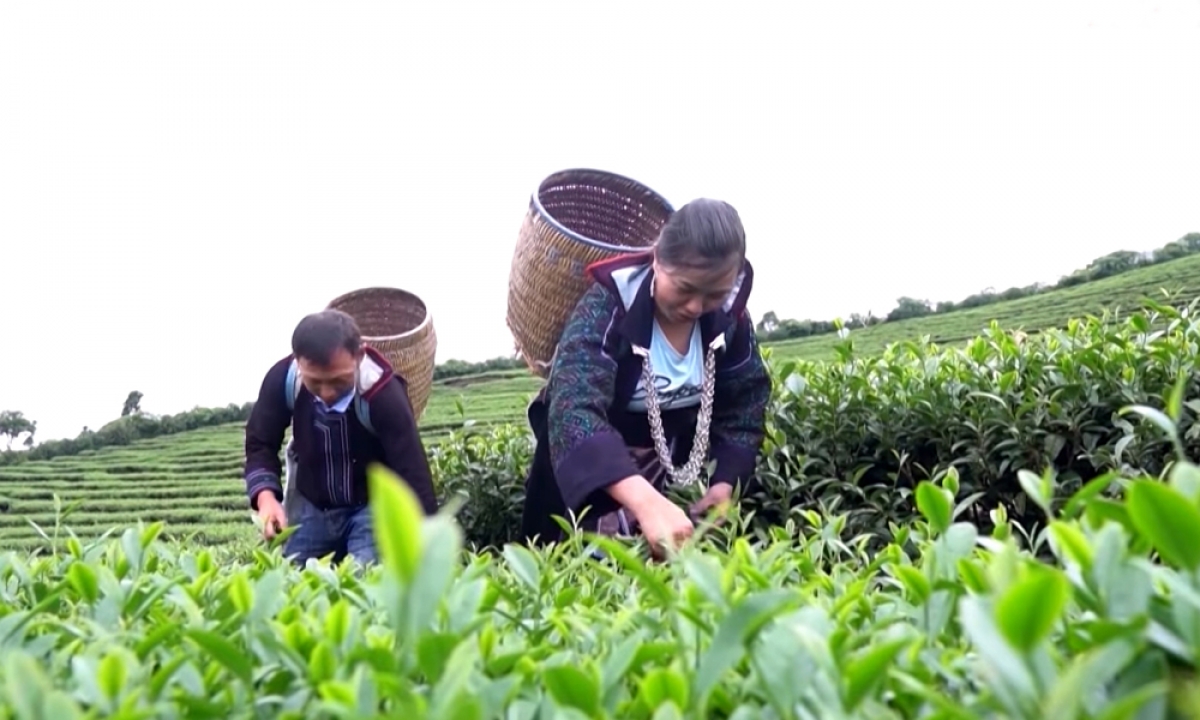 Đồng bào các dân tộc đang nỗ lực vươn lên vì một ngày mai tươi sáng hơn