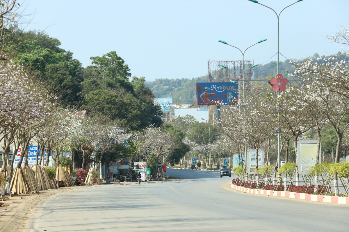 Tháng 3, khi nắng xuân trải dài, cũng là lúc hoa ban khoe sắc khắp núi rừng Sơn La - Tây Bắc.
