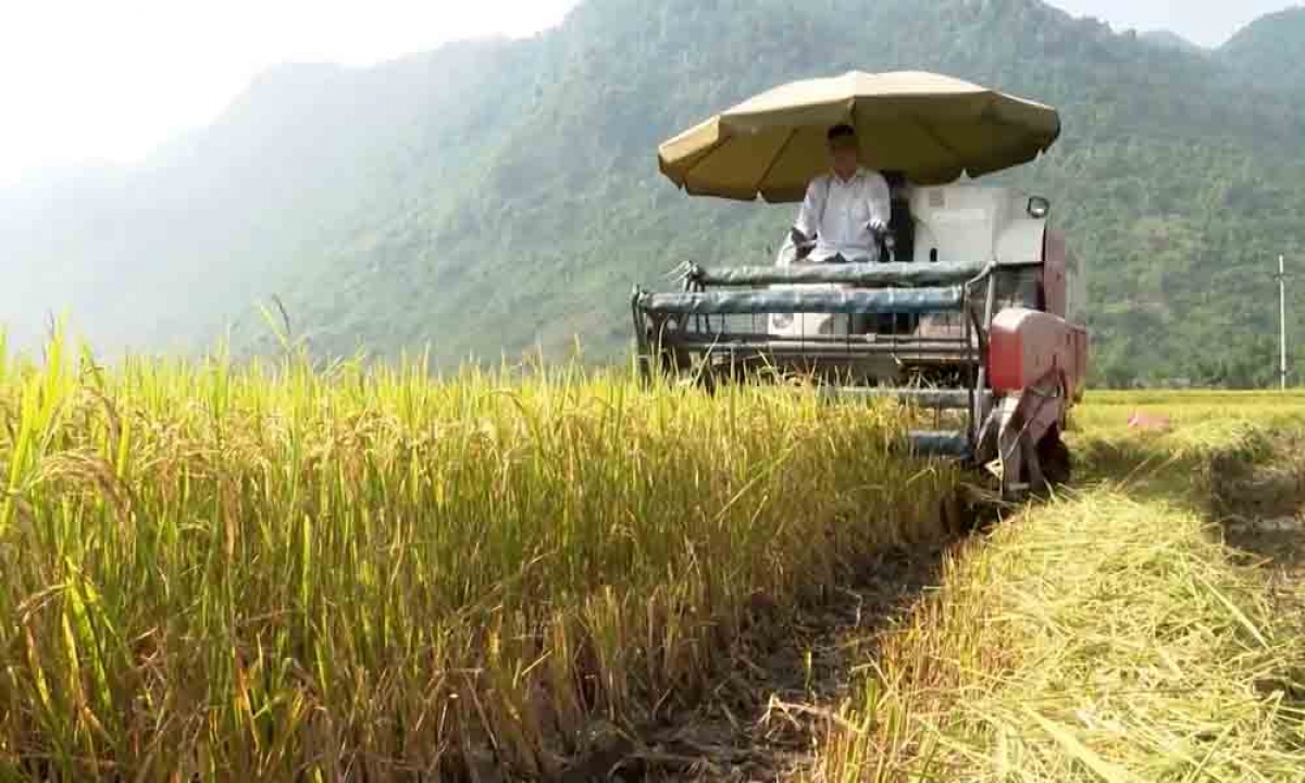 Cơ giới hóa trong sản xuất nông nghiệp không còn xa lạ với đồng bào vùng cao Lai Châu.
Ảnh: Khắc Kiên/VOV Tây Bắc