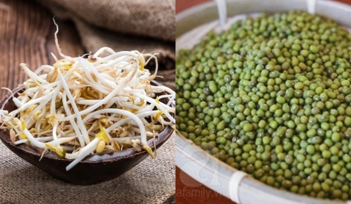 Giá đỗ có nhiều công dụng tốt cho sức khỏe không phải ai cũng biết
