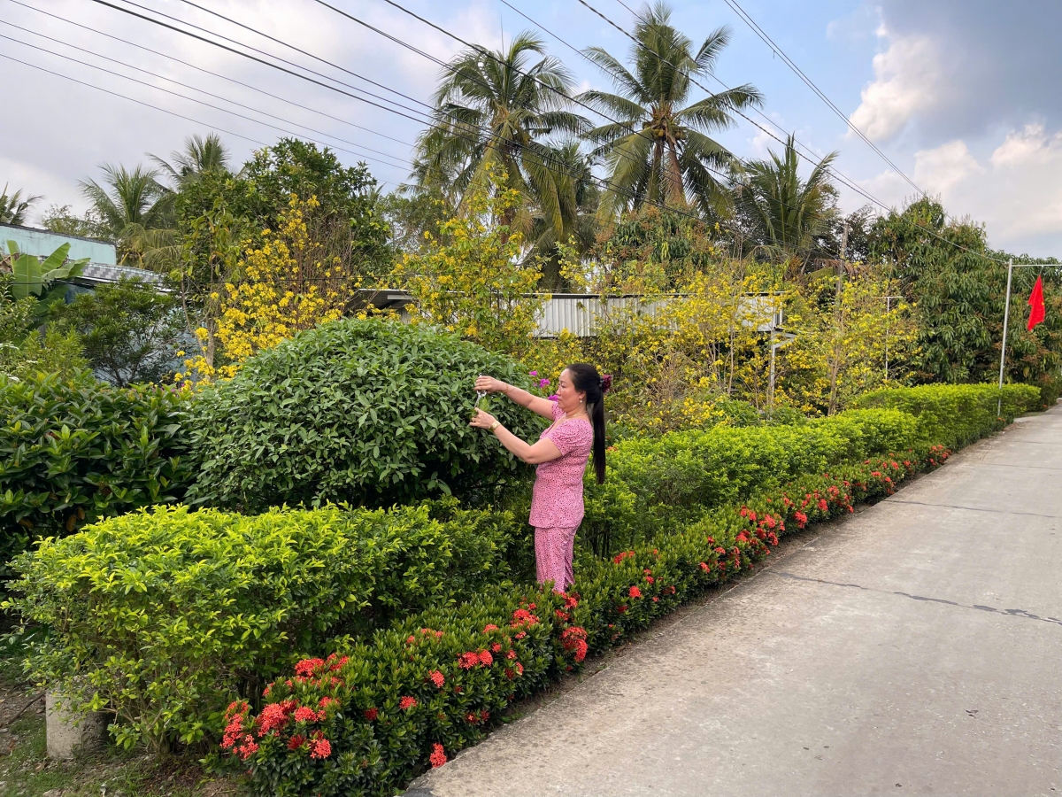 Người dân ở các xã nông thôn mới huyện Phụng Hiệp trồng cây xanh, hoa kiểng dọc hai bên tuyến đường tạo cảnh quan môi trường xanh- sạch- đẹp