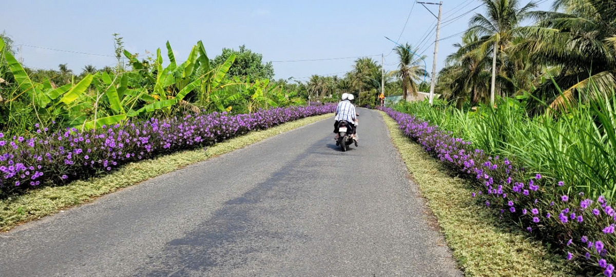 Đường giao thông tại các khu vực vùng sâu, vùng cù lao của tỉnh Tiền Giang xây dựng khang trang, thông thoáng