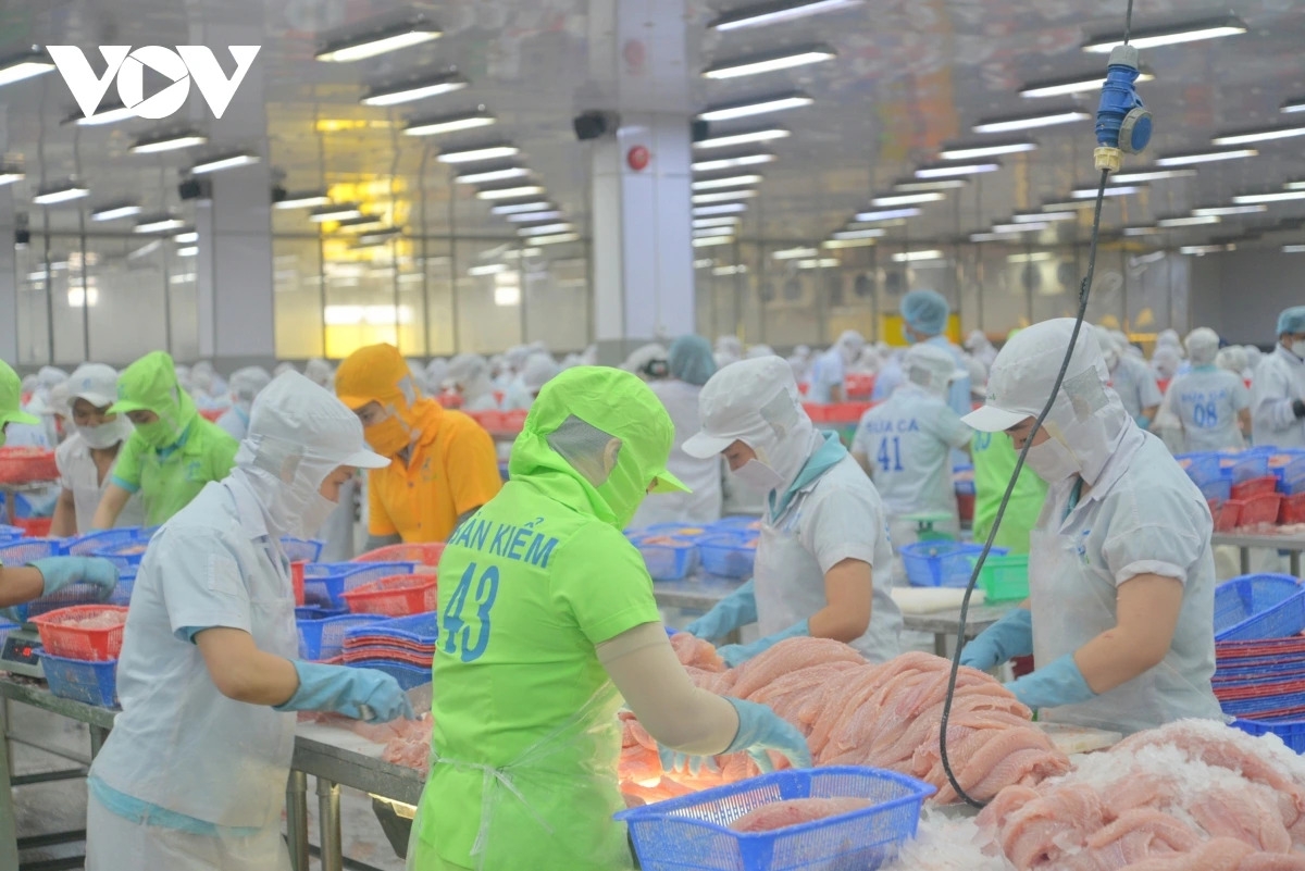 Trong nhiều nhóm ngành hàng của Việt Nam xuất khẩu hơn 1 tỷ USD thì phần lớn đến từ vùng ĐBSCL.