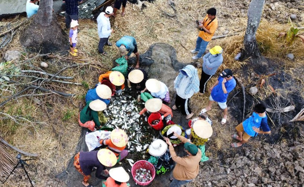 Gần đây, nguồn lợi cá đồng tại xã Khánh Hải đã có dấu hiệu hồi phục