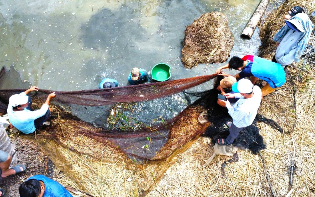 Chụp đìa là hình thức bắt cá được khuyến khích thực hiện
