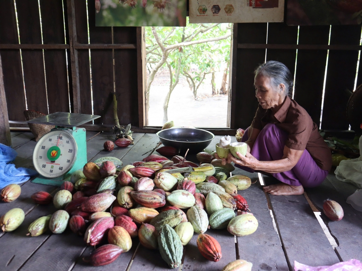 Kơjă ka kao tŏk măt, kon pơlei oei tơ̆ tơring dơnuh Yang Tao, apŭng Lăk, dêh char Dak Lăk jang sa iŏk yua kơjăp.