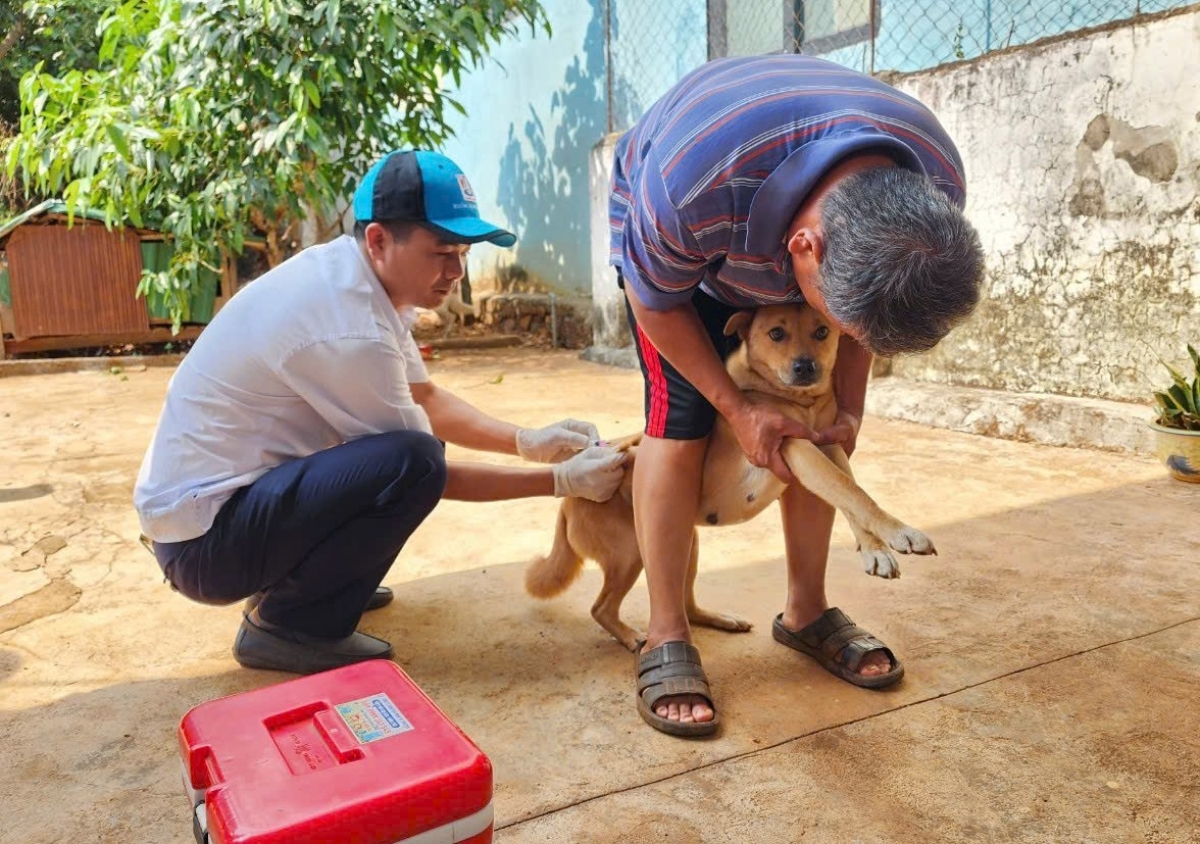 Mâu tơring pêi pro rơdêi tơdroăng pâk vaccine ăm mơnăn păn