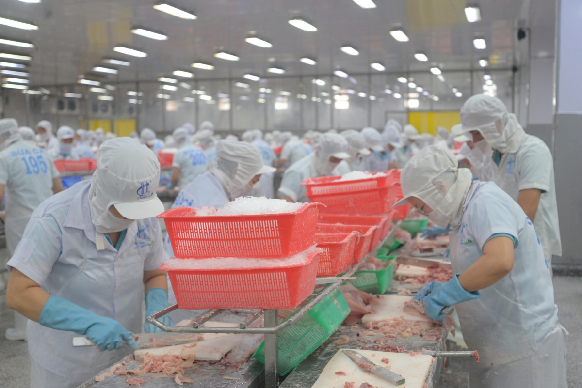 Nông nghiệp vùng ĐBSCL đã khẳng định vị thế dẫn đầu cả nước về sản lượng và xuất khẩu