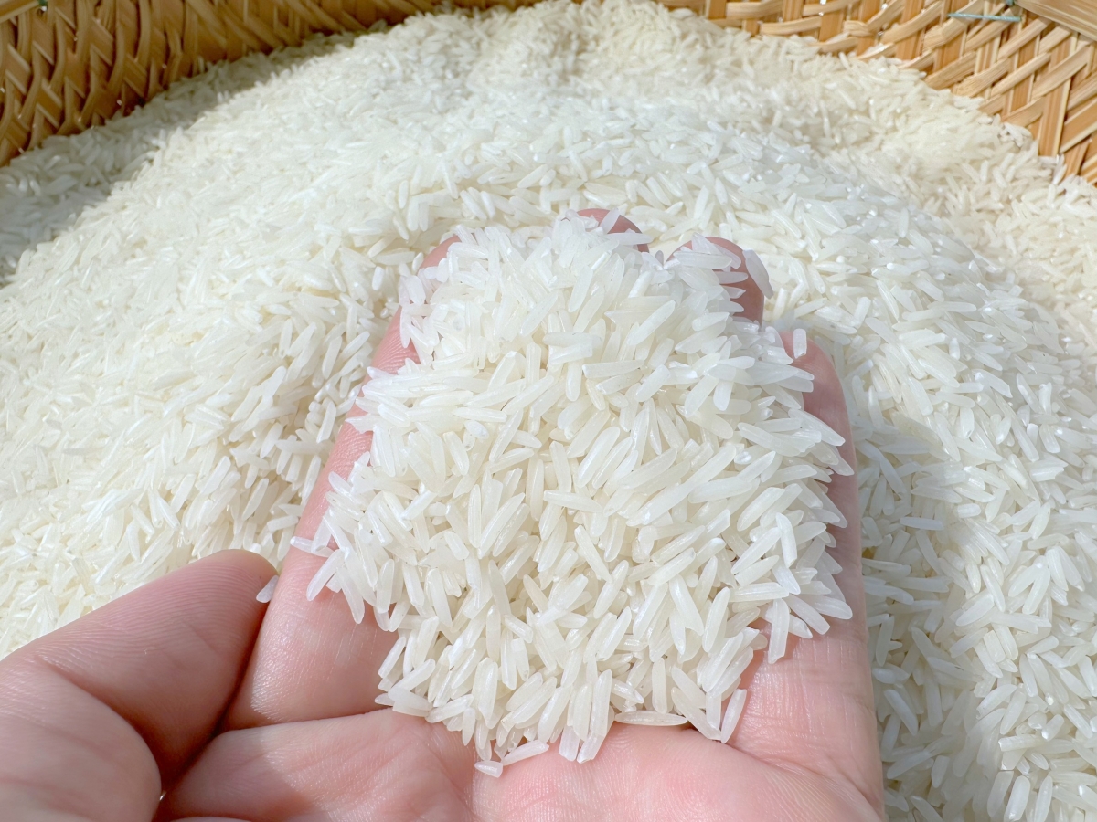 Vai trò, vị thế trụ đỡ của nông nghiệp, nhất là tại vùng ĐBSCL càng ngày càng được khẳng định