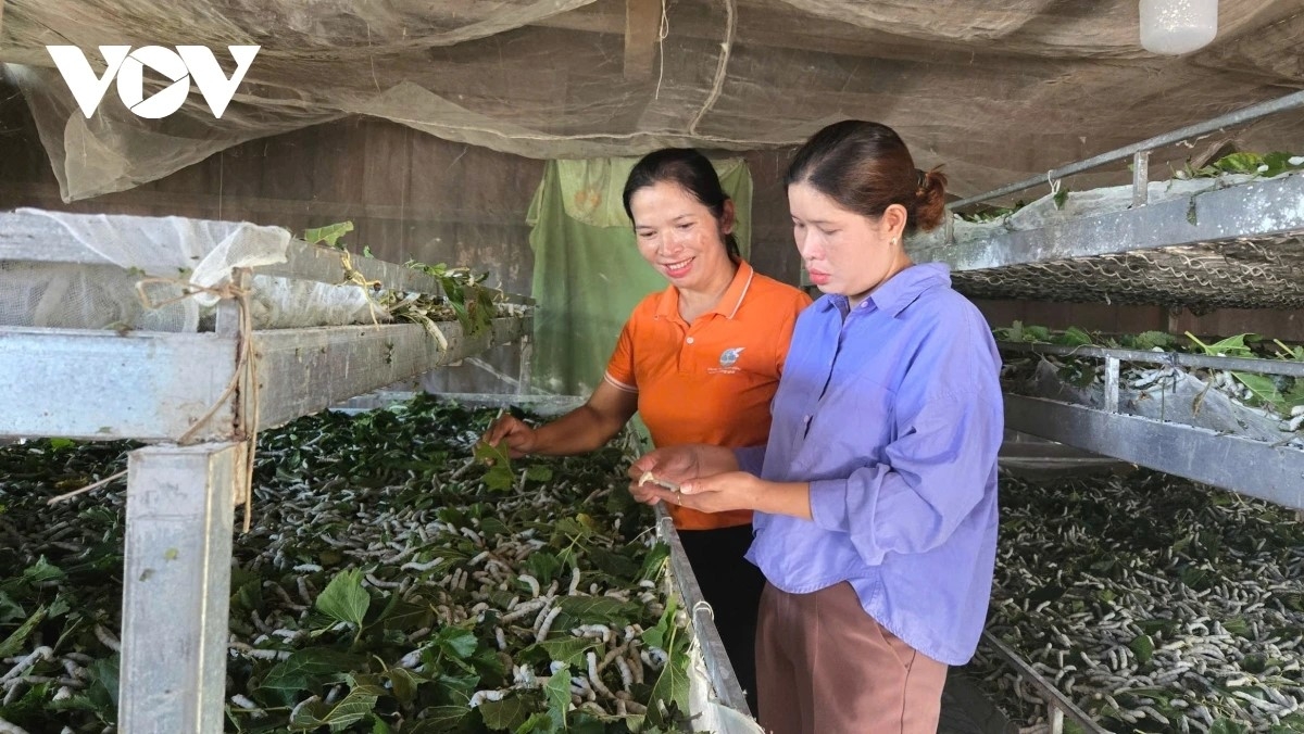 Pala hanjo raong kain jeng sa bruk patruh eik patrun kathaot, patagok khang di Đam Rông.