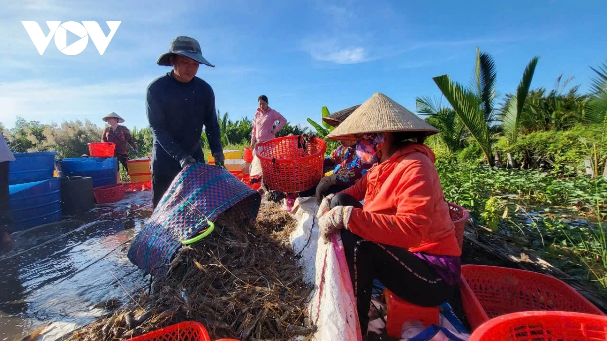 Urang ngak hamu xa Lương Nghĩa chraong mek hadang