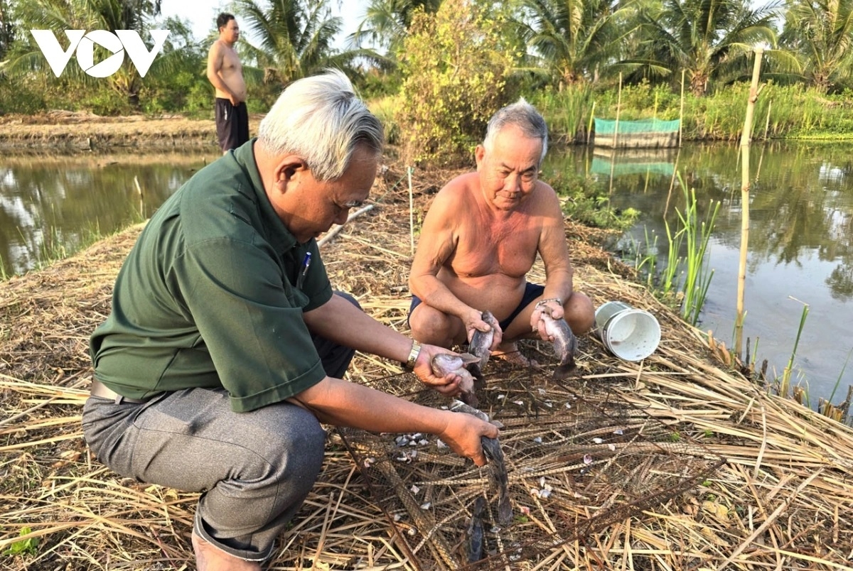Danao raong ikan di sang ong Đạt