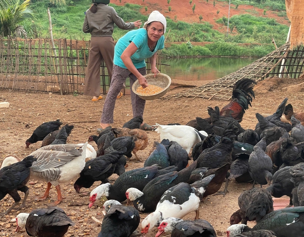 Tơdroăng hbru kuăn mơnăn păn ƀă tơdroăng hnê mơhno kơtăng hiăng gum kuăn pơlê xúa tơƀrê tơdroăng tơkêa kơdroh kơtiê a Dak Nông