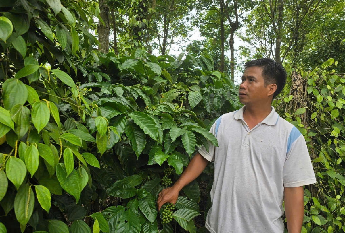Hên rơpŏng châ mung liăn ing hngêi rak liăn vâ pêt tiu ƀă kơphế