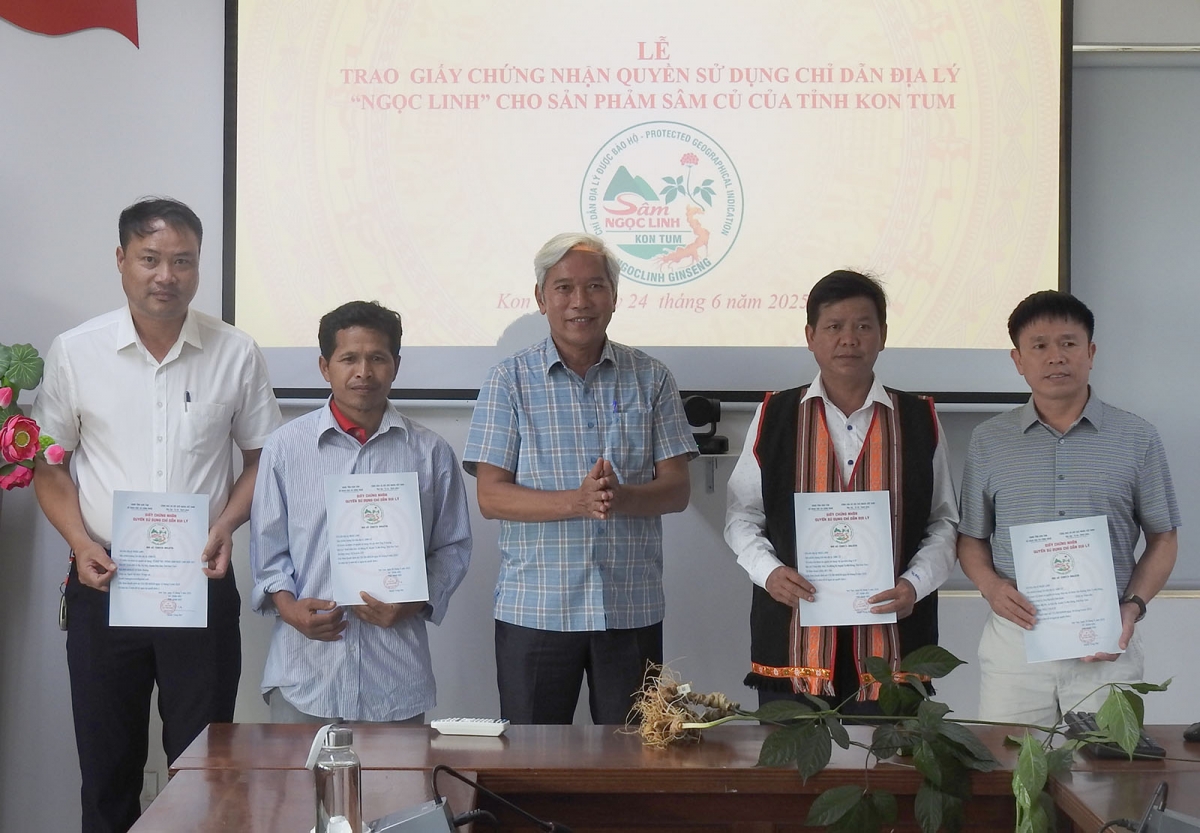 Ăm hlá mơ-éa mơnhên xúa inâi tơnêi tíu “Ngọc Linh” tơmeăm pôm sâm ăm 4 khu ƀă mâu ngế