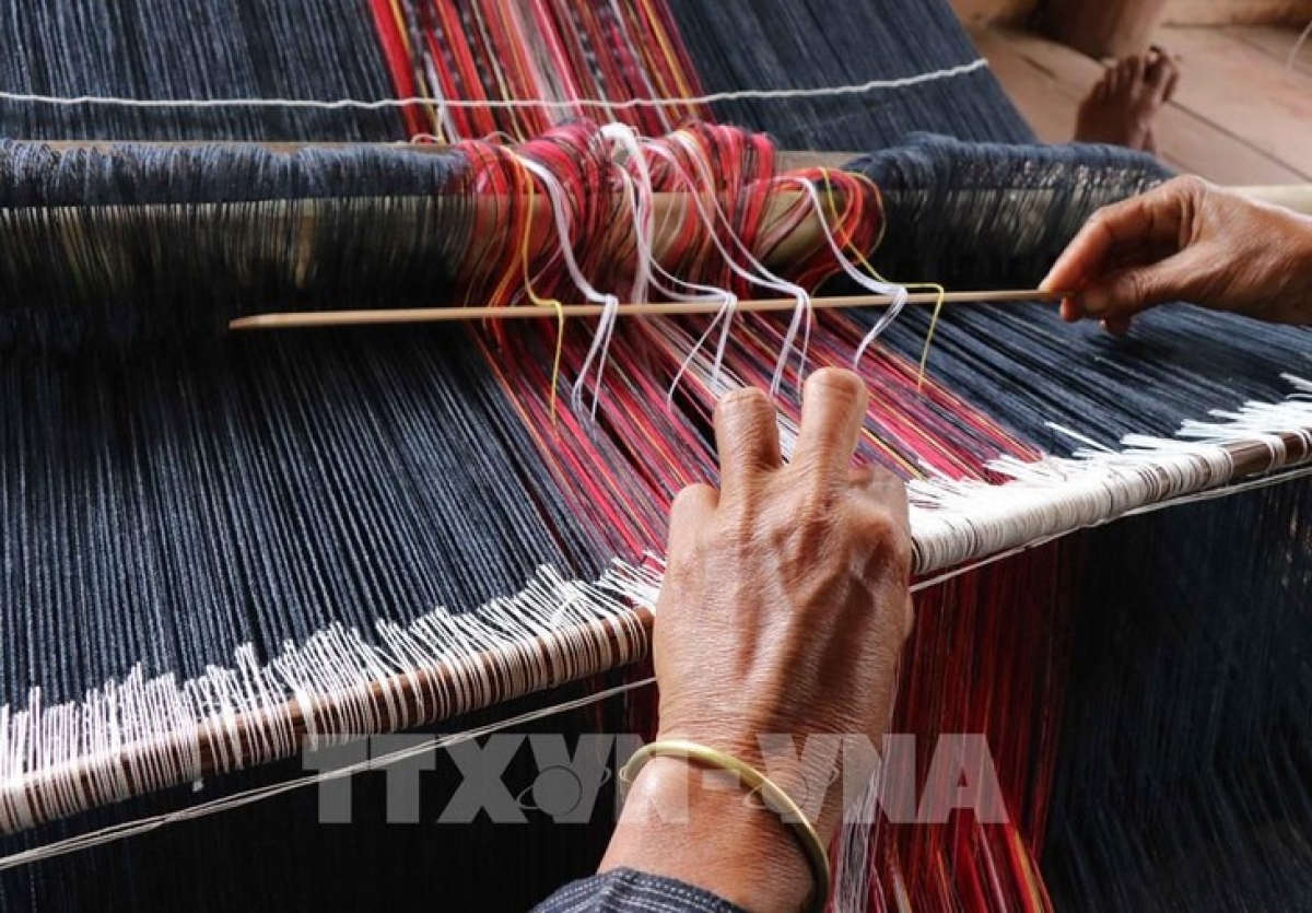Mâu plâ hmôu jiâ mê kơnôm ing kơpeăng kŏng ki rơkê dêi vâi kơdrâi Bơhnéa. Um: Hồng Điệp/TTXVN