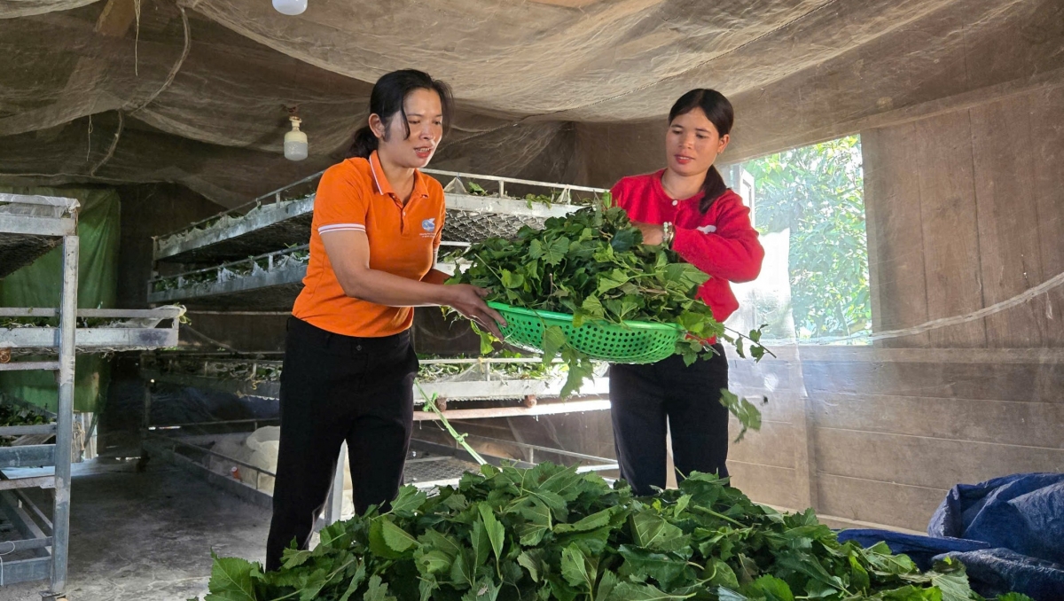 Kon pơlei tŏk bŏk hơmet ăn kơ hơdrông sa