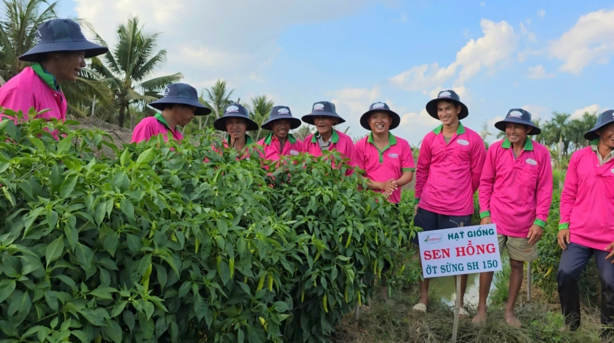 Trồng trọt là ngành có thế mạnh của tỉnh Đồng Tháp và Tiền Giang
