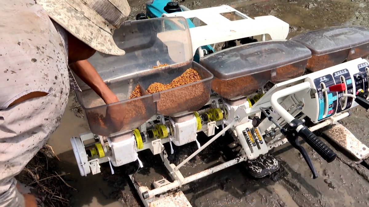 Nông dân Vĩnh Long cơ khí hóa trong sản xuất lúa chất lượng cao, phát thải thấp