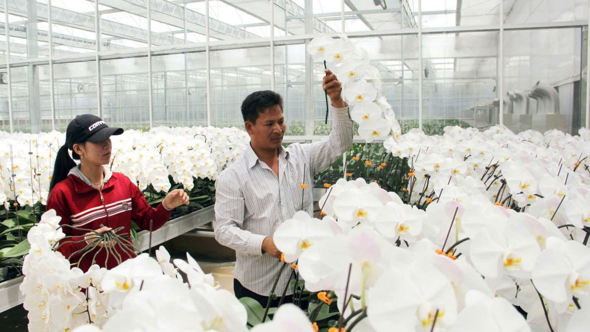 
Nkra njêng nkao công nghệ mhe dơi ntuh kơl rĭng ta Đơn Dương