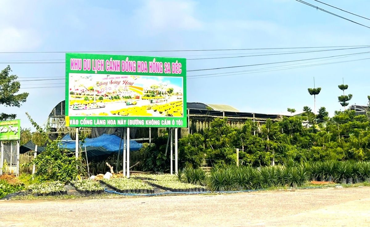 Làng hoa Sa Đéc đón du khách dịp Festival Hoa Kiểng Sa Đéc lần thứ II năm 2025 và Tết Nguyên đán