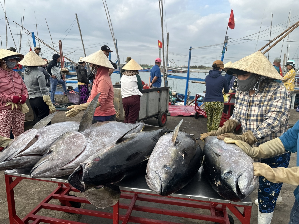 Ka ngừ dơi n’hao bah duk ta ndrâm ka Đông Tác