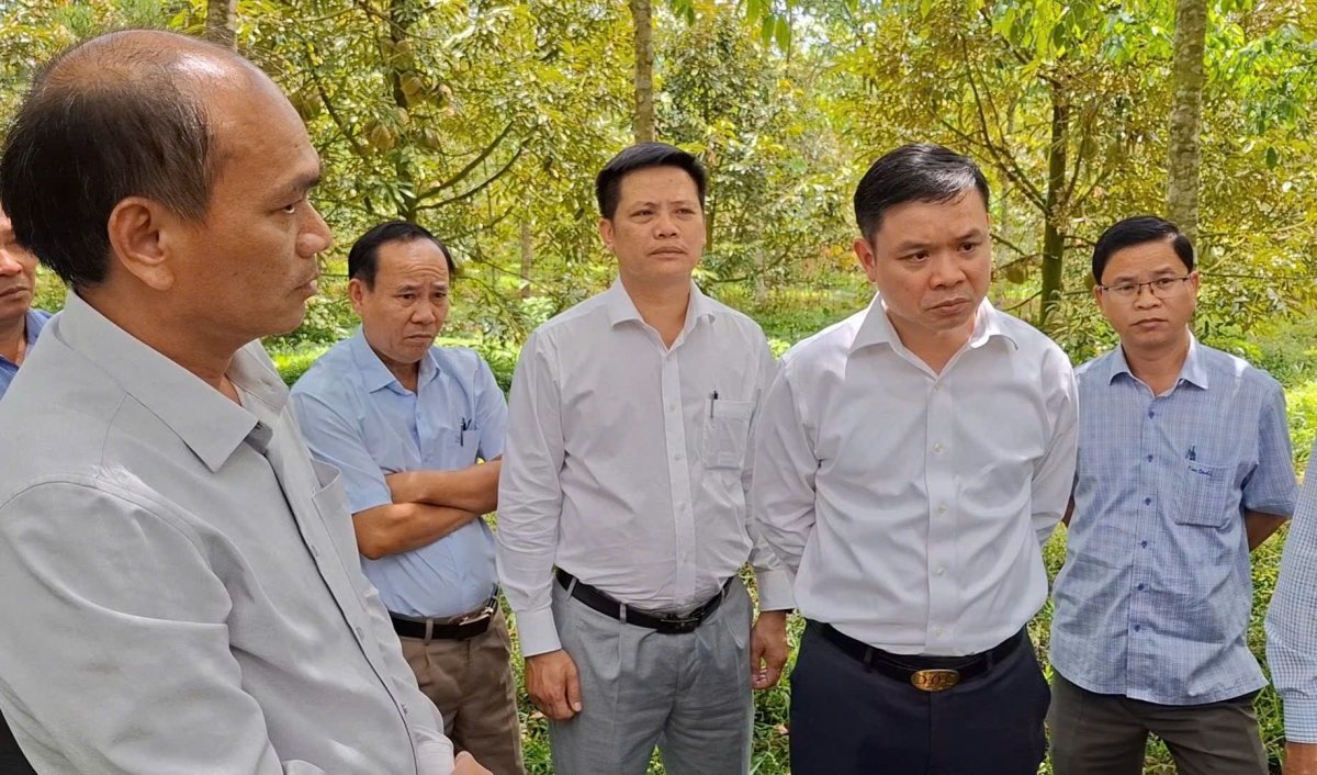 Ồng Vũ Văn Cần, cau tờm bơcri priă broă lơh tơrlòng lài (đah kiau), yal wơl broă dồ êt gơn kơnờm bơtàu tơngguh tăc sầu riêng mờ lơgar ndai tài broă màh sồ tiah tam