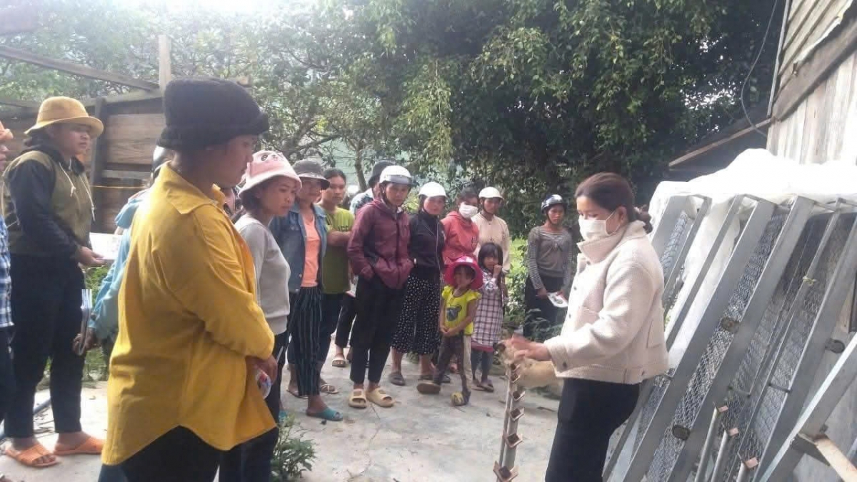 - Phung hlăm êpul mâo hriăm kơ klei pla ana rông hluăt mơ̆ng phung mâo klei thâo.