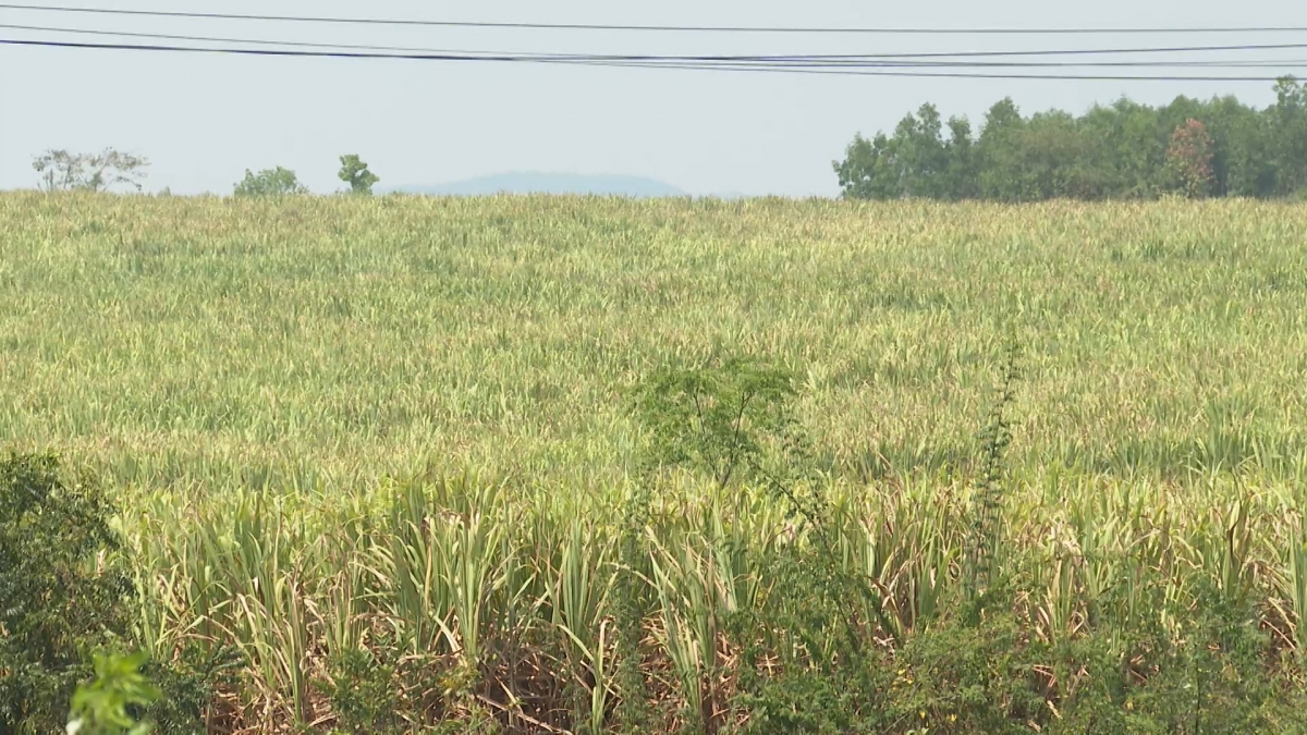 -Kbâo khua dôk guôn hrui koh. 