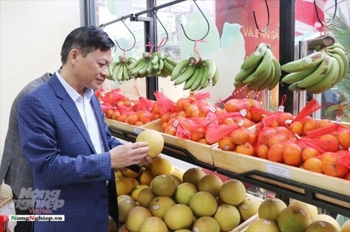 Giới thiệu các mặt hàng nông sản ở Thái Nguyên 