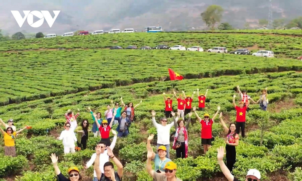 Du khách trải nghiệm hái chè tại Tân Uyên. Anh: Khắc Kiên/VOV Tây Bắc