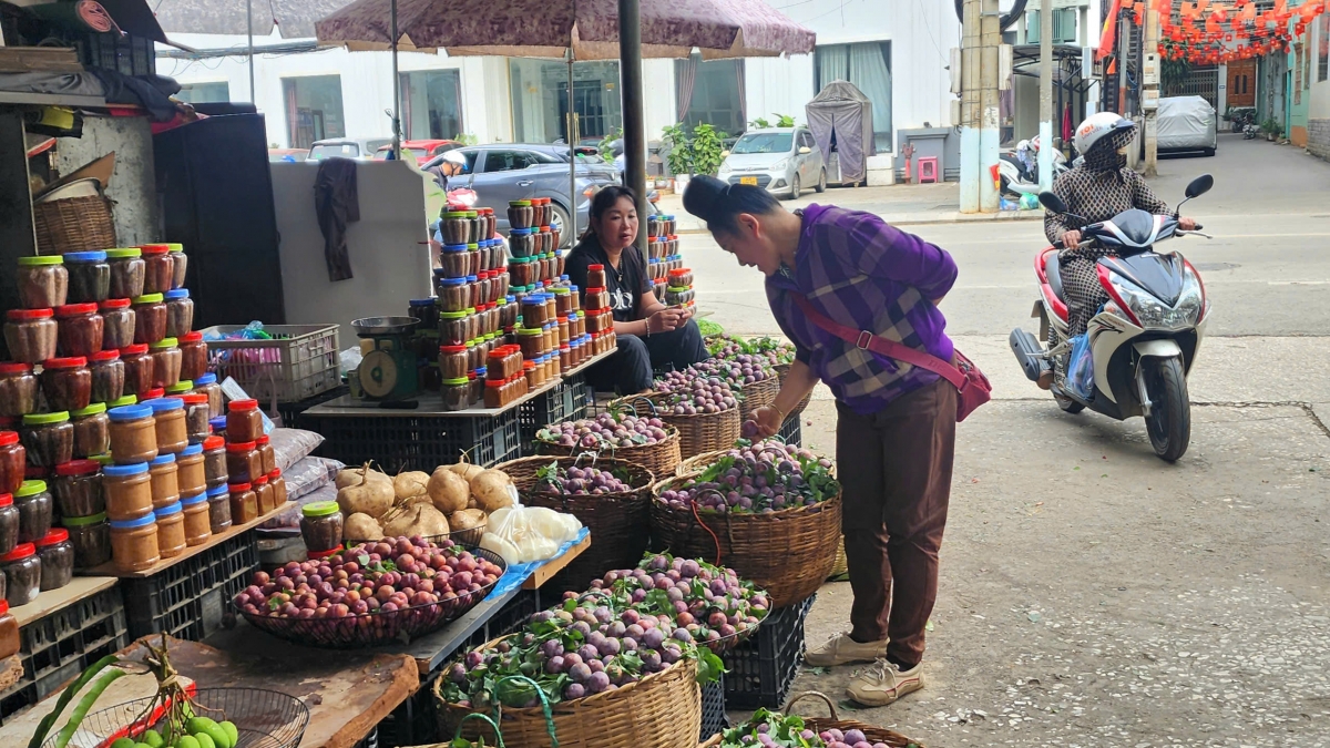 Mùa thu hoạch mận năm nay đến sớm hơn thường lệ. Trong ảnh là một chủ vườn đang bày bán những sọt mận tươi rói nhưng vắng khách mua. Ảnh: Thanh Thủy