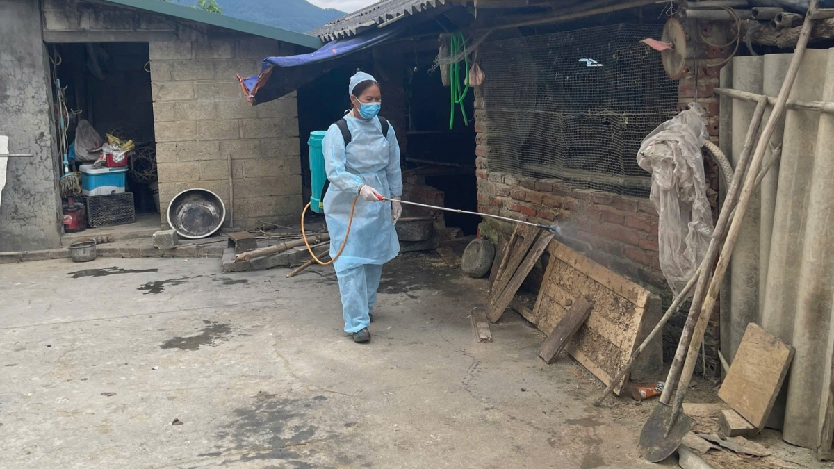 Việc xuất hiện serotype SAT1 tại khu vực giáp biên làm gia tăng nguy cơ xâm nhập vào Việt Nam thông qua hoạt động vận chuyển, buôn bán gia súc và sản phẩm động vật, đặc biệt với các tỉnh biên giới như Cao Bằng. Ảnh PV